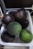 魯禧秘魯進(jìn)口牛油果新鮮水果非即食當(dāng)季水果生鮮 6枚裝 單果100-130g 贈(zèng)芥末醬油 曬單實(shí)拍圖
