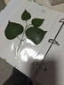 美浣植物標本收集冊干花壓花樹(shù)葉昆蟲(chóng)標本冊葉子四葉草楓葉收納本diy覆膜粘貼相冊手工制作自粘活頁(yè)夾 小號A5【20張】40面-小時(shí)光 曬單實(shí)拍圖