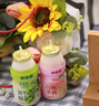 優(yōu)樂多 乳酸菌飲品青提味白桃味雙拼 100ml*24瓶 飲料   曬單實拍圖