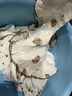 bledilait嬰兒圍嘴純棉花瓣口水巾寶寶夏季薄款飯兜四層新生兒圍兜3條裝 曬單實拍圖