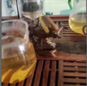 韻化變色茶寵擺件財運(yùn)沖天牛氣沖天創(chuàng)意可養(yǎng)茶盤配件茶寵物擺件 財運(yùn)沖天（金色） 曬單實(shí)拍圖