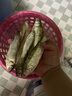 龍王恨魚(yú)餌藍(lán)鯽青春版腥香餌料江河黑坑野釣鯽鯉草鳊魚(yú)魚(yú)食小肽蛋白餌料 曬單實(shí)拍圖