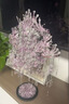 粉黛二十二鳳冠粉紅色鳳冠金屬拼圖禮物朋友 粉冠拼圖+亞克力防塵罩 曬單實(shí)拍圖
