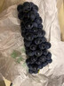 鮮級(jí)佳 【順豐速運(yùn)】夏黑葡萄藍(lán)莓葡萄脆甜無籽現(xiàn)摘孕婦水果巨峰葡萄 5斤【精選果】爽吃裝 A+級(jí)精選果【酸甜可口】 曬單實(shí)拍圖