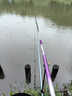 達(dá)摩浮漂永村納米漂全水域底釣綜合野釣醒目高靈敏耐用魚(yú)漂P01 P01加粗兩目/底釣綜合鯽鯉羅非 3號(hào) 曬單實(shí)拍圖
