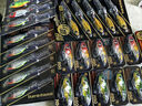 lurefansCC60/CC50/CC70路亞餌小胖遠投競技翹嘴鱖魚(yú)專(zhuān)用仿生假餌小胖子   CC60-9.5g-15甲蟲(chóng) 曬單實(shí)拍圖