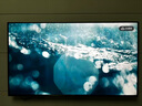 FFALCON雷鳥電視 55鶴6 25款（PLUS版） 55英寸 QD-MiniLED 高階VA 背光分區(qū) 家電國家補貼電視 55英寸 一級能效 55S595C 曬單實拍圖