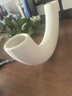 范爺家高檔仿真水石榕花瓶高級(jí)感套裝仿真假花客廳裝飾擺件仿綠植 曬單實(shí)拍圖