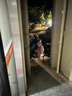 小熊（Bear）恒溫水壺配件 壺蓋壺身原廠適配TNQ-N12D2 壺身組件 TNQ-N12D2（不含蓋子） 曬單實(shí)拍圖
