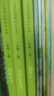稻草人+安徒生童話+格林童話 人教版快樂讀書吧三年級上冊套裝 曹文軒、陳先云主編 曬單實拍圖