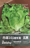 北蔬 生菜種子家庭盆栽秋天菜四季速生蔬菜種籽 熱雄101甜生菜種子20g 曬單實(shí)拍圖