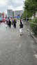 QINKUNG【健將同款】輕功彈力怪跑步訓練五分緊身褲馬拉松運動短褲男女褲 男款黑色 XL 曬單實拍圖
