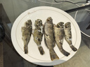 二次元路亞餌鉛頭鉤軟餌套盒T尾軟蟲路亞假餌防刮釣底魚餌 110件套盒 曬單實(shí)拍圖
