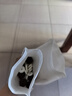 齊玉堂大通草指導下奶追奶湯產(chǎn)后月子哺乳期奶水不足母乳喂催乳寶煲湯 加強版通草6寶480g（滿(mǎn)月后用此款）育嬰師教追奶 曬單實(shí)拍圖
