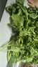 桃西村新鮮蔬菜寧夏供港霜打菜心苗菜心仔小菜心苗迷你菜心鮮嫩清甜 2000g 曬單實拍圖