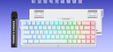 邁從（MCHOSE）Ace 68/60Pro磁軸鍵盤 RT電競游戲客制化機械有線連接全鍵熱插拔雙驅(qū)動無畏契約 Ace 68 電競版 白等高線 冰犀磁軸 曬單實拍圖