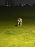 拉夫威爾思韋伯狗狗涼涼衣ruffwear夏季防暑降溫中型犬戶外寵物衣服 香水草紫 M 適合胸圍 69-81cm 曬單實拍圖