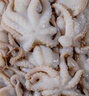 優(yōu)牧冠 八爪魚(yú) 去內(nèi)臟鮮活冷凍迷你小章魚(yú)海鮮軟足類夜宵燒烤食材 【免處理】約8-16只 1斤(凈重) 曬單實(shí)拍圖