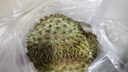 京鮮生山東煙臺(tái)紅富士 蘋果 凈重5斤單果200g+ 新鮮水果 源頭直發(fā) 曬單實(shí)拍圖