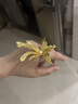 咾鳳云凰老鳳凰黃金鳳凰戒指女999足金空心孔雀戒指大氣結(jié)婚情人節(jié)禮物女 黃金戒指 12號約8.7克（多退少補） 曬單實拍圖