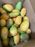 京喜加現摘小臺農芒果新鮮特產(chǎn)水果  輕微花皮半熟果發(fā)貨 帶箱9斤單果100克以上 曬單實(shí)拍圖