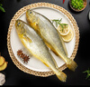 三都港 鮮凍原條黃花魚凈重2斤/2條 寧德大黃魚 海魚 生鮮 燒烤 曬單實拍圖