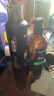 Stockwell啫喱膏發(fā)膠噴霧套裝 強力定型啫喱水300ml+持久定型發(fā)膠噴霧250ml 曬單實拍圖