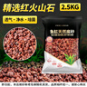 瘋狂水草（FKSC）紅色火山石魚缸專用養(yǎng)烏龜火山巖顆粒魚缸造景底砂沙石可配溪流石 曬單實(shí)拍圖