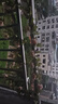 院見(jiàn)燈太陽(yáng)能燈串戶(hù)外防水庭院香檳玫瑰銅線(xiàn)燈花園陽(yáng)臺圍欄露臺裝飾燈 太陽(yáng)能-10米100燈-香檳玫瑰燈串 曬單實(shí)拍圖