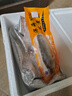 新鮮大黃魚速凍5條深海大黃花魚現(xiàn)捕鮮活冷凍3條海魚鮮魚海鮮水產(chǎn) 六條黃花魚獨(dú)立包裝（強(qiáng)烈推薦） 獨(dú)立包裝 曬單實(shí)拍圖