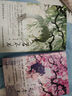 【旗艦店正版】君不見 驚竹嬌著+海浪將我擁起（贈畫冊）韓仕梅 “你一句春不晚，我就到了真江南”作者S部青春詩集 長短句 少年意氣與浪 晚來急+君不見全2冊 曬單實拍圖