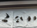 靛律環(huán)氧樹脂膠滴膠手工diy材料包套裝高透明快干水晶AB膠水標本模具 超清硬膠1公斤（升級耐黃變） 曬單實拍圖