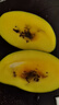 久雅優(yōu)鮮四川攀枝花凱特芒當應季新鮮水果超甜芒果水果應季現摘時(shí)令生鮮 凈重4.5-5斤大果（單果1斤起） 曬單實(shí)拍圖
