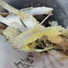 綠蠻園浙江杭州臨安天目山特產(chǎn)竹筍干500g 嫩筍尖干竹筍野筍干春筍雷筍 曬單實(shí)拍圖