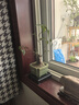 何首烏盆栽盆景老樁植物根球盆景爬藤植物中草藥植物盆栽盆景 80#何首烏（5年根球）20-30cm高 曬單實(shí)拍圖