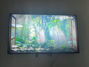 華為Vision智慧屏 5 SE 65英寸 鴻蒙AI搜片 MiniLED鴻鵠畫質國家補貼Pura 80投屏平板電視機HD65KULU 曬單實拍圖