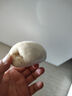悅味紀 手工老面饅頭640g*2包 12個 綠色食品 山東戧面千層饅頭速食 曬單實拍圖