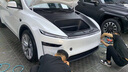 XPEL隱形車(chē)衣特斯拉全車(chē)漆面保護膜tpu防剮蹭自修復透明膜車(chē)衣膜包施工特斯拉Model  Y專(zhuān)車(chē)專(zhuān)用 曬單實(shí)拍圖
