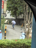 藍(lán)月亮至尊洗衣精華濃縮洗衣液(11件套) 秒溶快洗 潔凈去污去漬除螨 曬單實(shí)拍圖