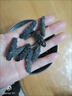 胖東來(lái)品質(zhì)海參野生大連海參干貨淡干遼參一斤40頭30頭散裝禮盒裝 【工廠直批】大號(hào)58只干參 出口品質(zhì)-高倍泡發(fā)-干刺參 曬單實(shí)拍圖