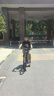鳳凰（PHOENIX）上海鳳凰軟尾山地車自行車學(xué)生公路男變速雙減震越野青少年賽車 鋼架/輻條魅影灰【雙減震/全軸承】 26寸24速【適合身高158-188cm 】 曬單實(shí)拍圖