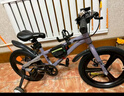 鳳凰（Phoenix）兒童自行車(chē)青少年3-4-6-8-10-12-15歲中大童學(xué)生山地車(chē)腳踏車(chē)單車(chē) 烏梅子輻條輪98裝-輔助輪+單支撐 16寸(適合105-120cm) 曬單實(shí)拍圖