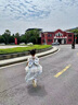 G.DUCKKIDS小黃鴨童裝洛麗塔公主裙女童裙子夏季兒童禮服連衣裙女孩子蓬蓬裙 藍色 100 尺碼2~3歲【90-100cm】cm 曬單實拍圖