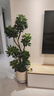 小植家懶人抹布一次性洗碗抹布 180抽懸掛抹布*3包 曬單實拍圖