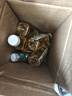 農(nóng)夫山泉 東方樹葉茉莉花茶500ml*15瓶無糖茶飲料0糖0脂0卡整箱裝夏天解渴 曬單實拍圖