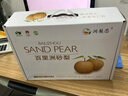 迭果百里洲砂梨湖北枝江沙梨翠冠梨子水果現(xiàn)摘現(xiàn)圓黃梨 5斤普通裝9個(gè)無(wú)禮盒 精品果 曬單實(shí)拍圖