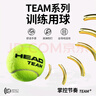 海德（HEAD）網(wǎng)球ball比賽訓(xùn)練用球單人練習(xí)訓(xùn)練專業(yè)TEAM無壓有壓網(wǎng)球 曬單實(shí)拍圖