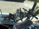 永久鋰電池電助力山地車超長續(xù)航鋁合金男女單車內(nèi)嵌可拆卸電池自行車 F68珍珠灰（10AH油碟力矩版）9速 26英寸 曬單實(shí)拍圖