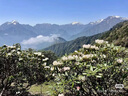 回力網(wǎng)面鞋男鞋透氣軟底休閑鞋戶外旅行運(yùn)動(dòng)鞋 WXY(JS)-1367 灰色 41  曬單實(shí)拍圖