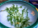 穗格氏即食燕麥片2000g 原味無糖精鈉 營養(yǎng)純谷物早餐 健身代餐免煮沖飲 曬單實拍圖